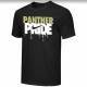Youth Nike Panther Pride Black T-shirt